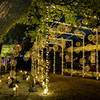 Lux Night KUMAMOTO 2024竹灯籠１