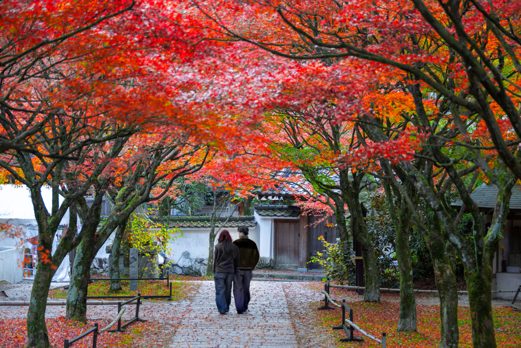 赤に染まる記憶の回廊