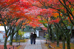 赤に染まる記憶の回廊