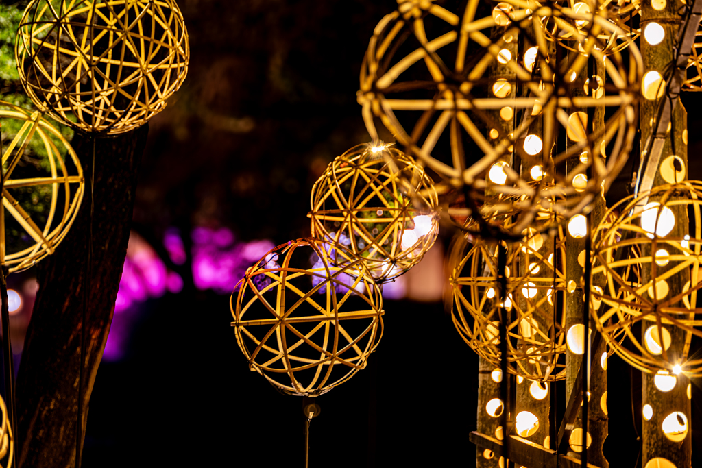 Lux Night KUMAMOTO 2024竹灯籠３