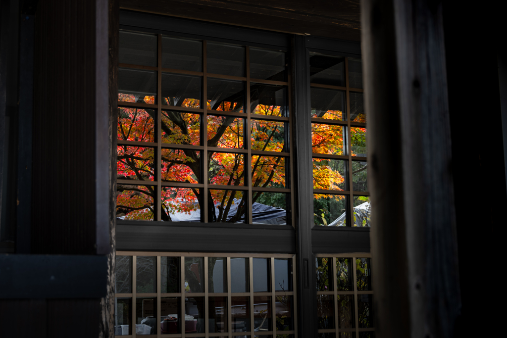 秋を閉じ込めた窓枠
