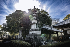 善導寺の物語 vol.5「光明降り注ぐ」