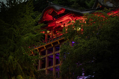 緑影に朱き祐徳