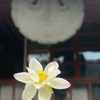 禅