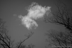 On The Sunny Side Of Town (Dec.18, 2023)