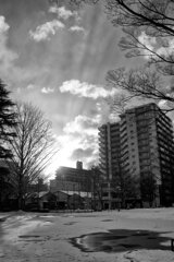 On The Sunny Side Of Town (Jan.26, 2024)