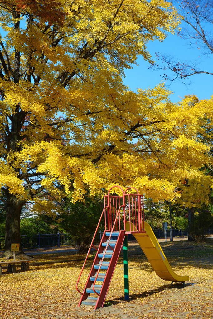 Sunny Side Of A Town: West Park
