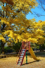 Sunny Side Of A Town: West Park
