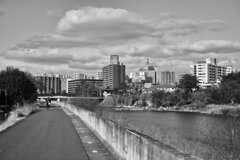 On The Sunny Side Of Town (Jan.19, 2024)