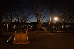 On The Sunny Side Of Town (Jan.11, 2024)