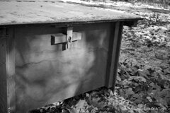 On The Sunny Side Of Town (Dec.18, 2023)