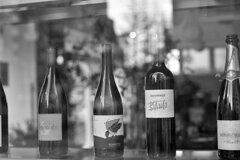 On The Sunny Side Of Town (Dec.21, 2023)