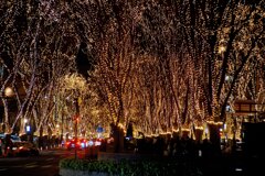 The Sendai Pageant of Starlight