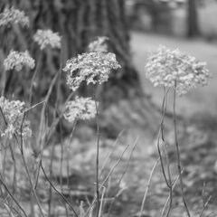 On The Sunny Side Of Town (Dec.22, 2023)