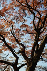 Sunny Side Of A Town: West Park