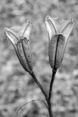 On The Sunny Side Of Town (Dec.31, 2023)