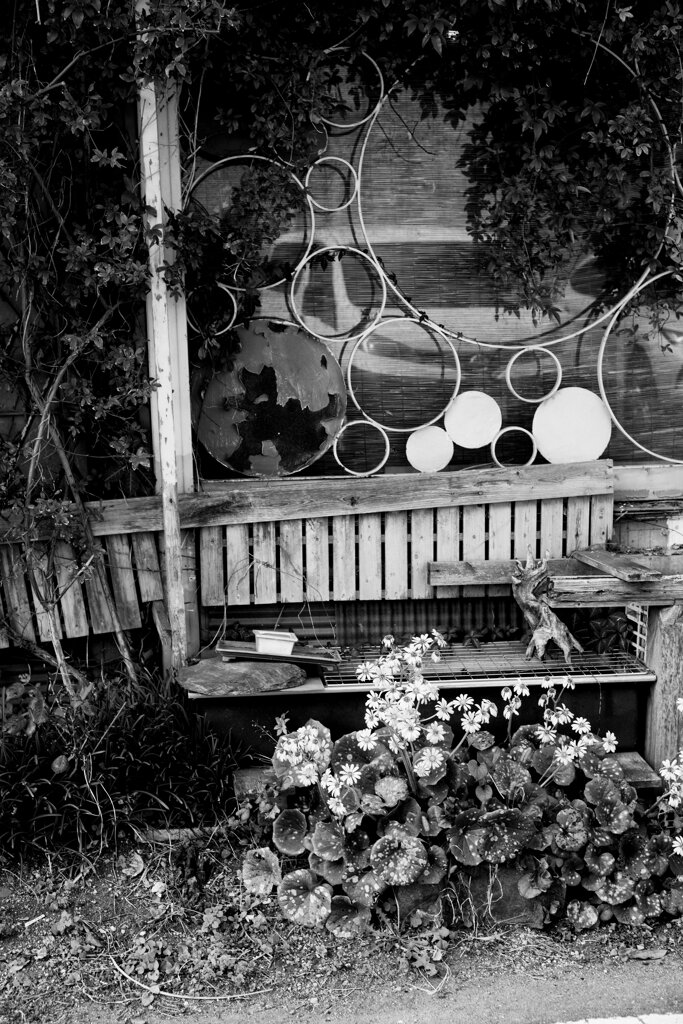 Sunny Side Of A Town： Ishinomalki