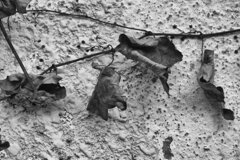 On The Sunny Side Of Town (Dec.31, 2023)