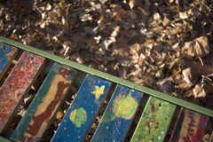 On The Sunny Side Of Town (Dec.28, 2023)