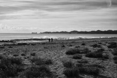 宮城県東松島市野蒜(ﾉﾋﾞﾙ)海岸(Jan.20,2024)