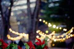 SENDAI Christmas Market 2024