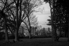 On The Sunny Side Of Town (Dec.28, 2023)