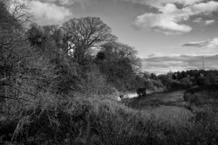 On The Sunny Side Of Town (Dec.26, 2023)