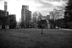 On The Sunny Side Of Town (Jan.27, 2024)