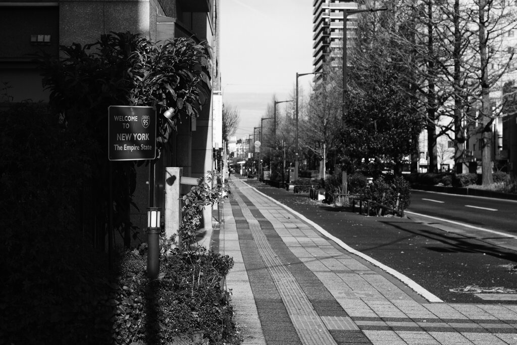 On The Sunny Side Of Town (Jan.1, 2024)