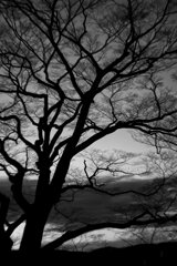 On The Sunny Side Of Town (Dec.28, 2023)