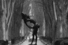 On The Sunny Side Of Town (Jan.24, 2024)