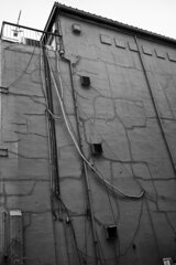 On The Sunny Side Of Town (Dec.23, 2023)