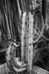 On The Sunny Side Of Town (Dec.30, 2023)