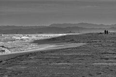 On The Sunny Side Of Town (Jan.14, 2024)