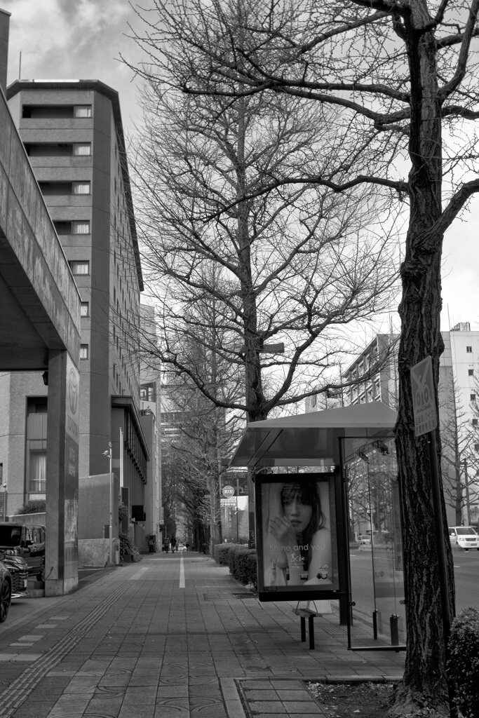 On The Sunny Side Of Town (Jan.8, 2024)