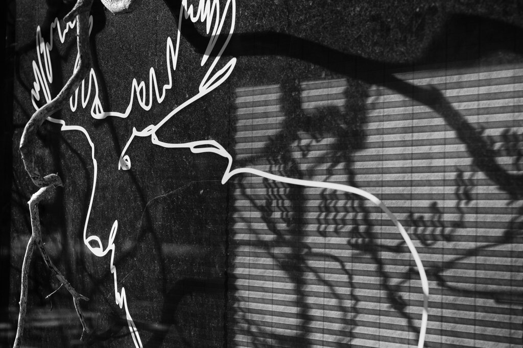 On The Sunny Side Of Town (Jan.28, 2024)