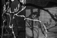 On The Sunny Side Of Town (Jan.28, 2024)