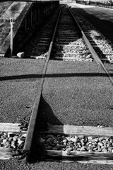 宮城県東松島市野蒜(ﾉﾋﾞﾙ)海岸(Jan.20,2024)