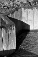 On The Sunny Side Of Town (Dec.17, 2023)