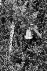 On The Sunny Side Of Town (Dec.17, 2023)