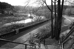 On The Sunny Side Of Town (Dec.26, 2023)