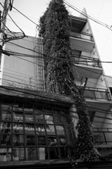 On The Sunny Side Of Town (Dec.23, 2023)