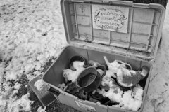 On The Sunny Side Of Town (Jan.26, 2024)