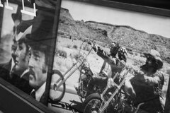 On The Sunny Side Of Town (Feb.2, 2024)