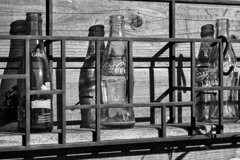 On The Sunny Side Of Town (Jan.28, 2024)