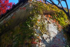 Sunny Side Of A Town: West Park