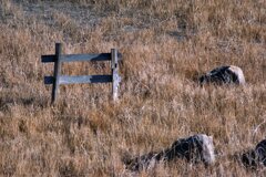 蒲生干潟（宮城県仙台市）Jan.14, 2024