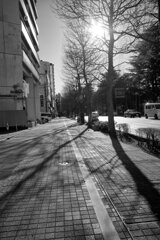 On The Sunny Side Of Town (Jan.5, 2024)