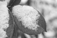 On The Sunny Side Of Town (Jan.16, 2024)