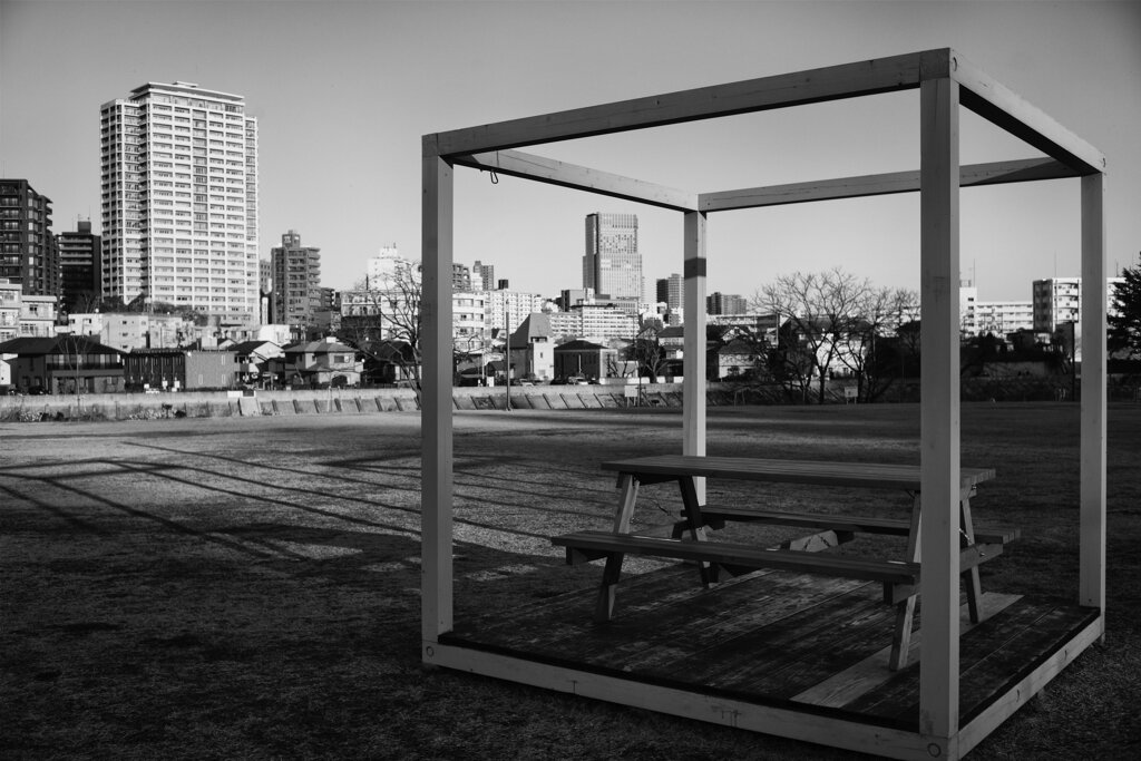 On The Sunny Side Of Town (Jan.17, 2024)
